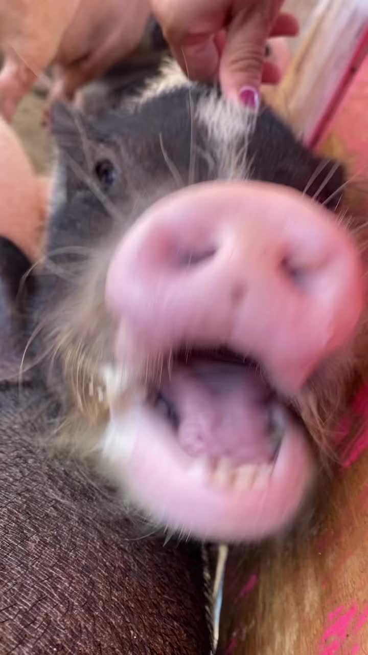 @Karennnn
