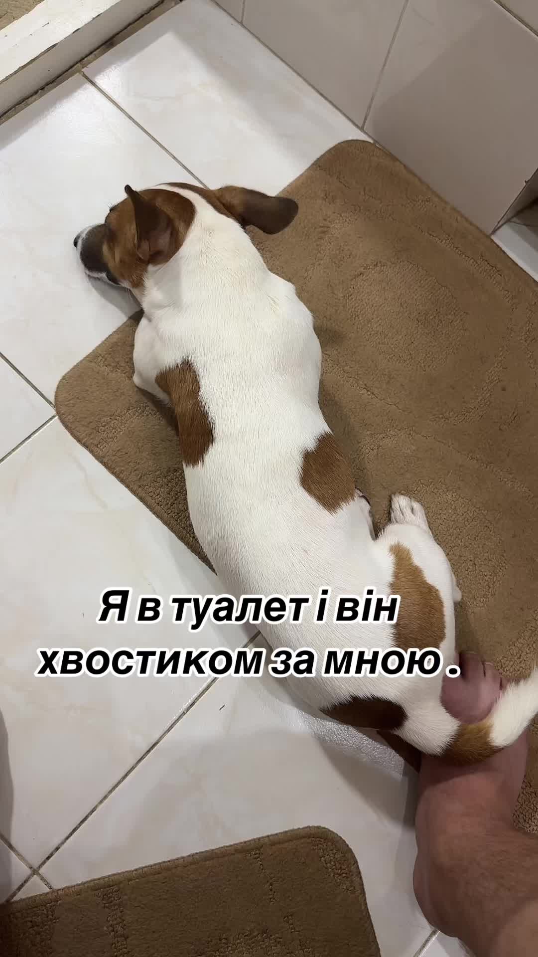 @Артем&Света family Чернега🇺🇦