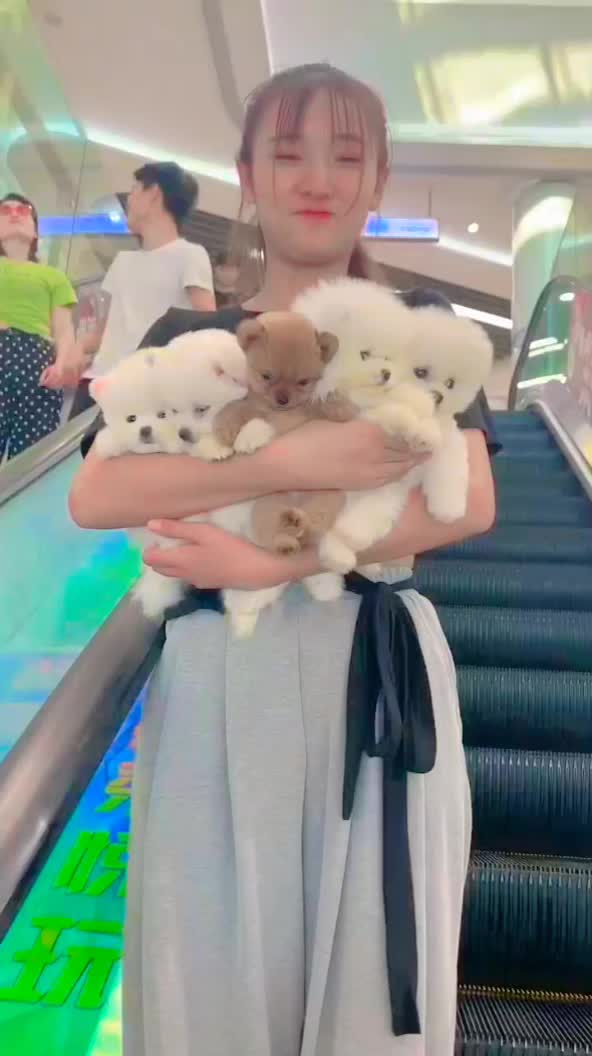 @𝙎𝙩𝙖𝙩𝙪𝙨_𝙆𝙞𝙣𝙜👑
