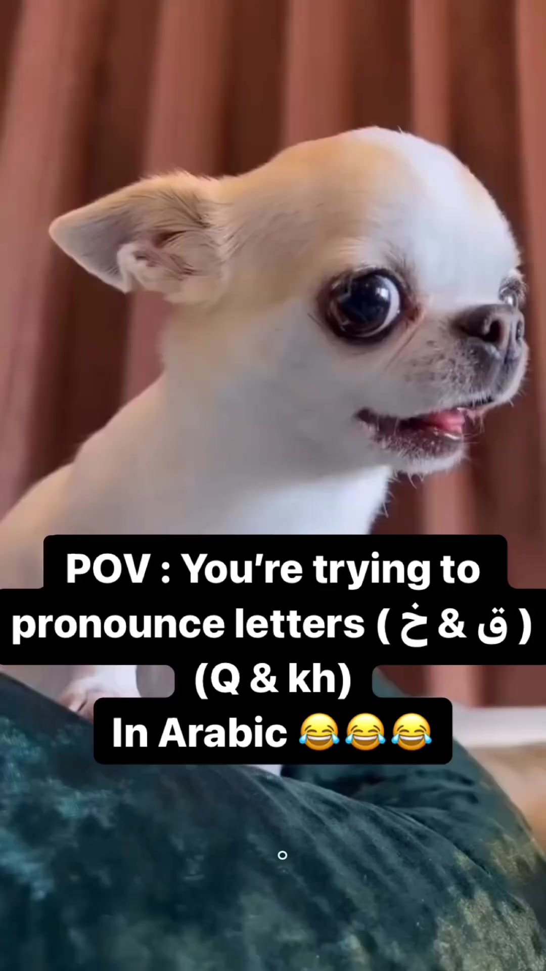 @Talk Native Egyptian Arabic