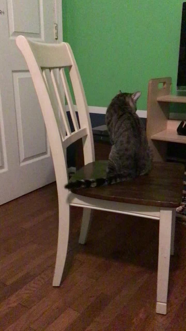 @mightycat83