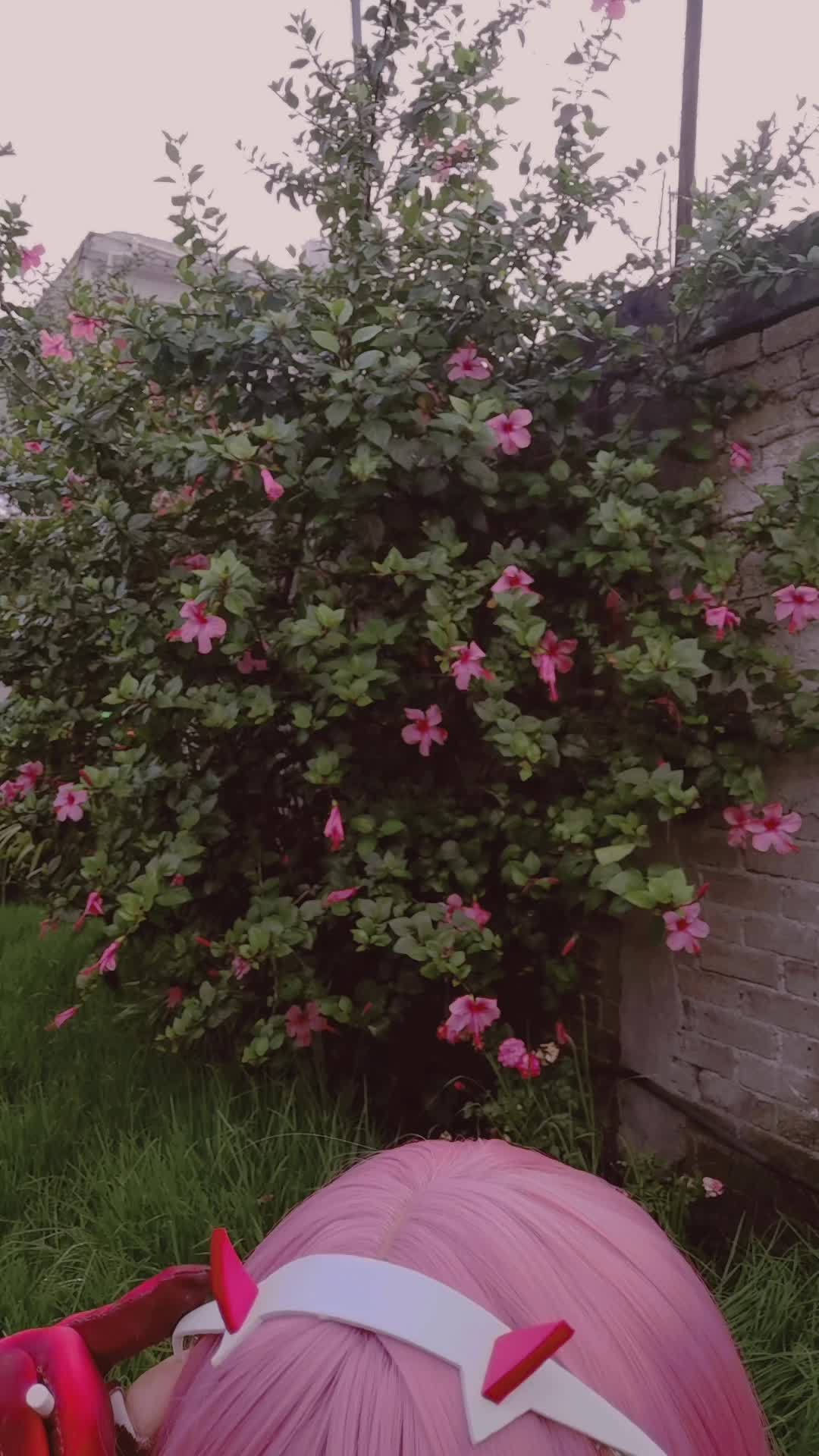@Gar_ane