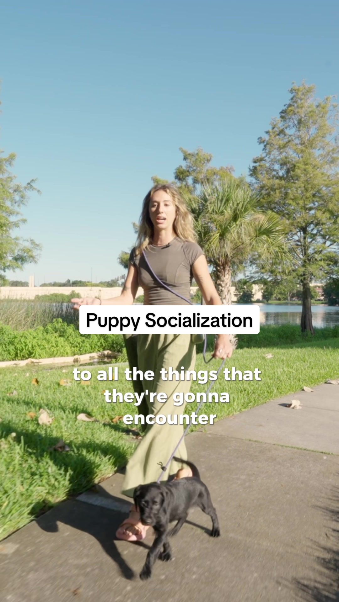 @The Everyday Trainer