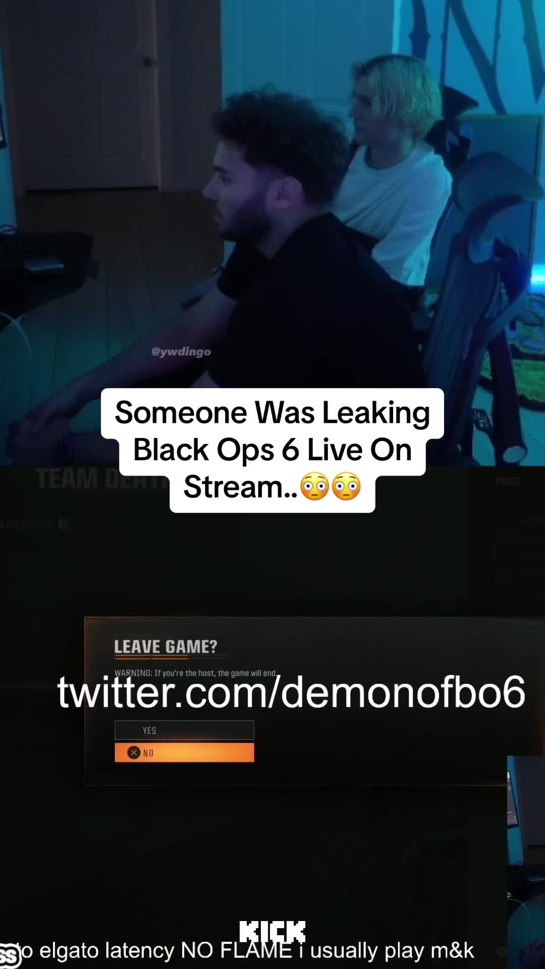 @dingo