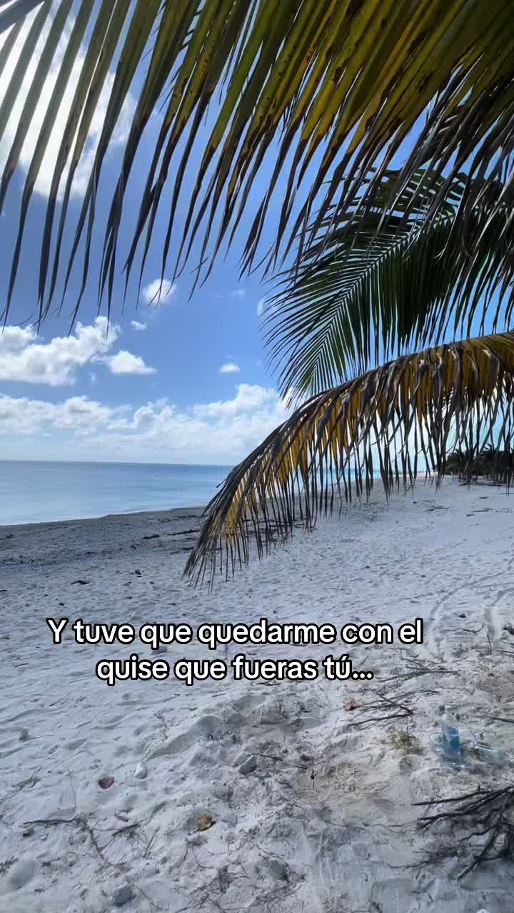 @Nela JR