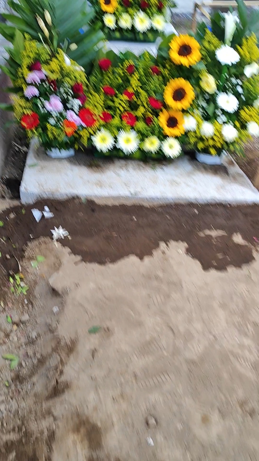 @Mimi Frías