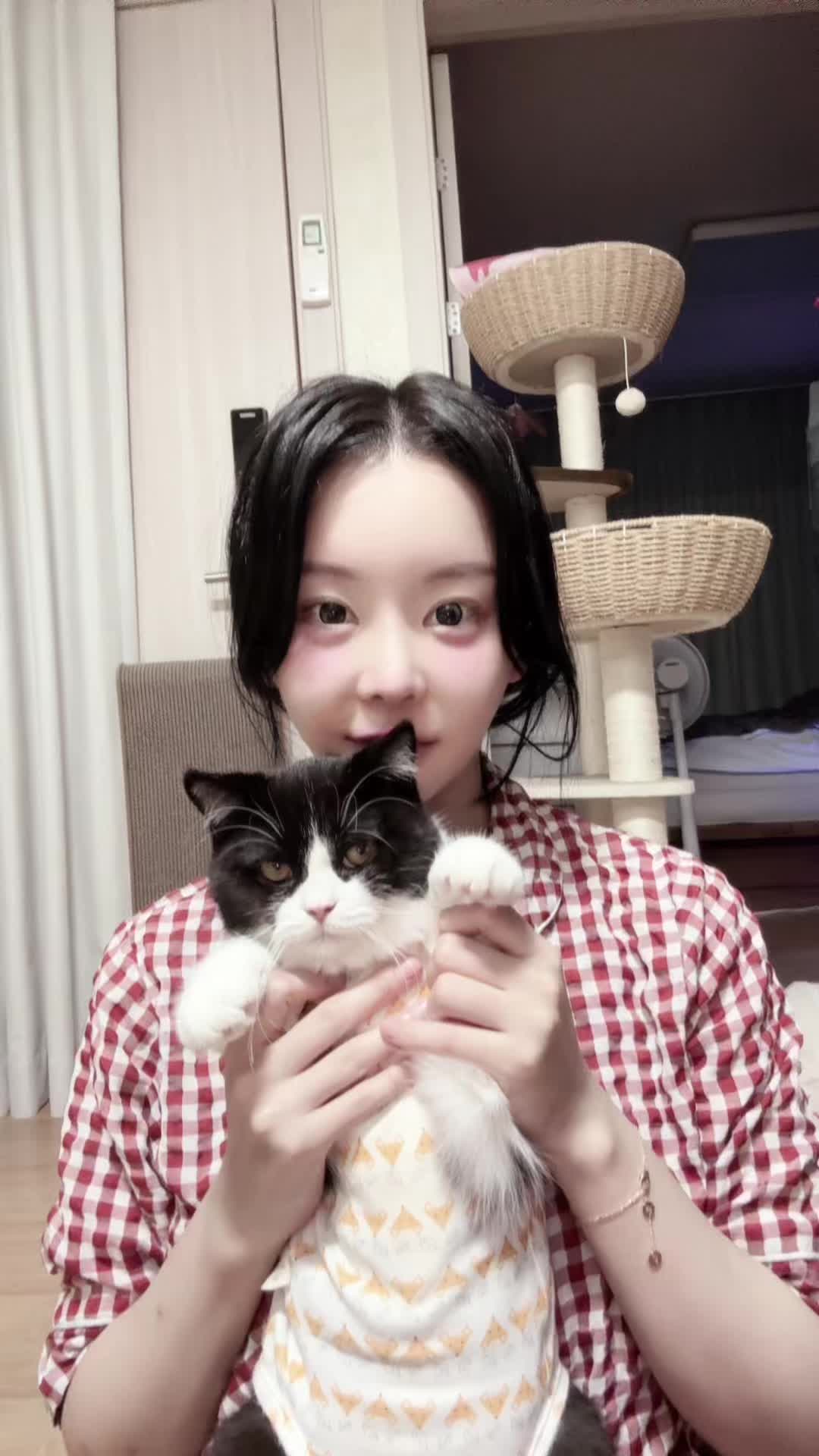 탱글다희 (@tangledahee) - Urlebird
