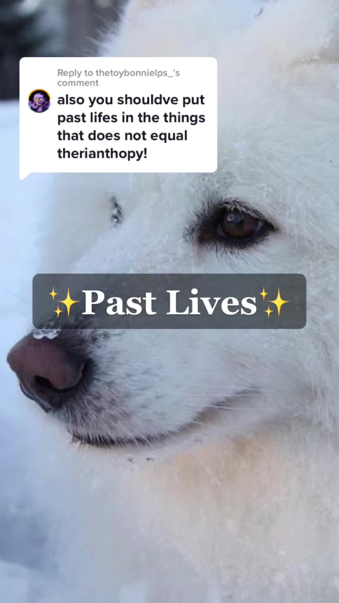 @Snowwystripes