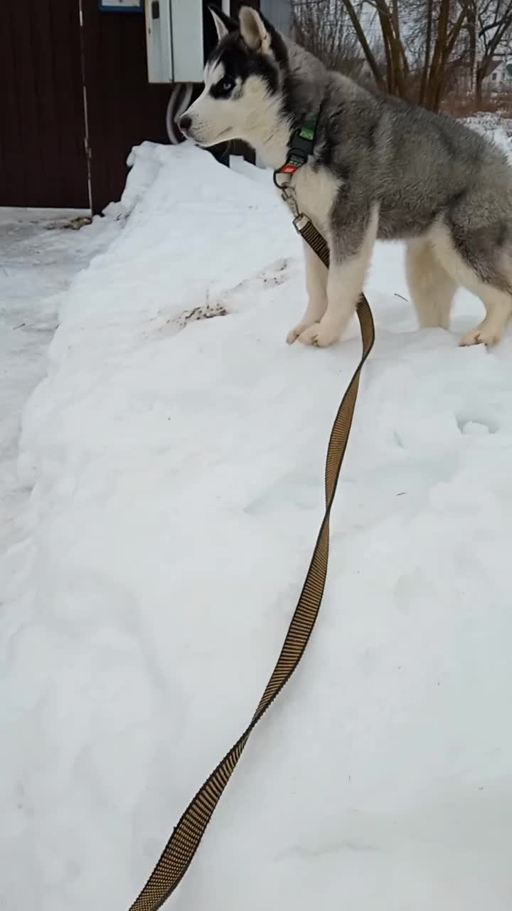 @просто Майа 💗