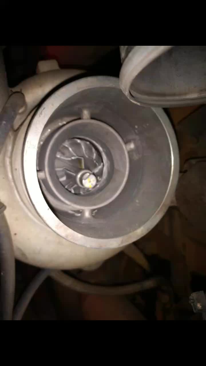 @rawdawgtrucker