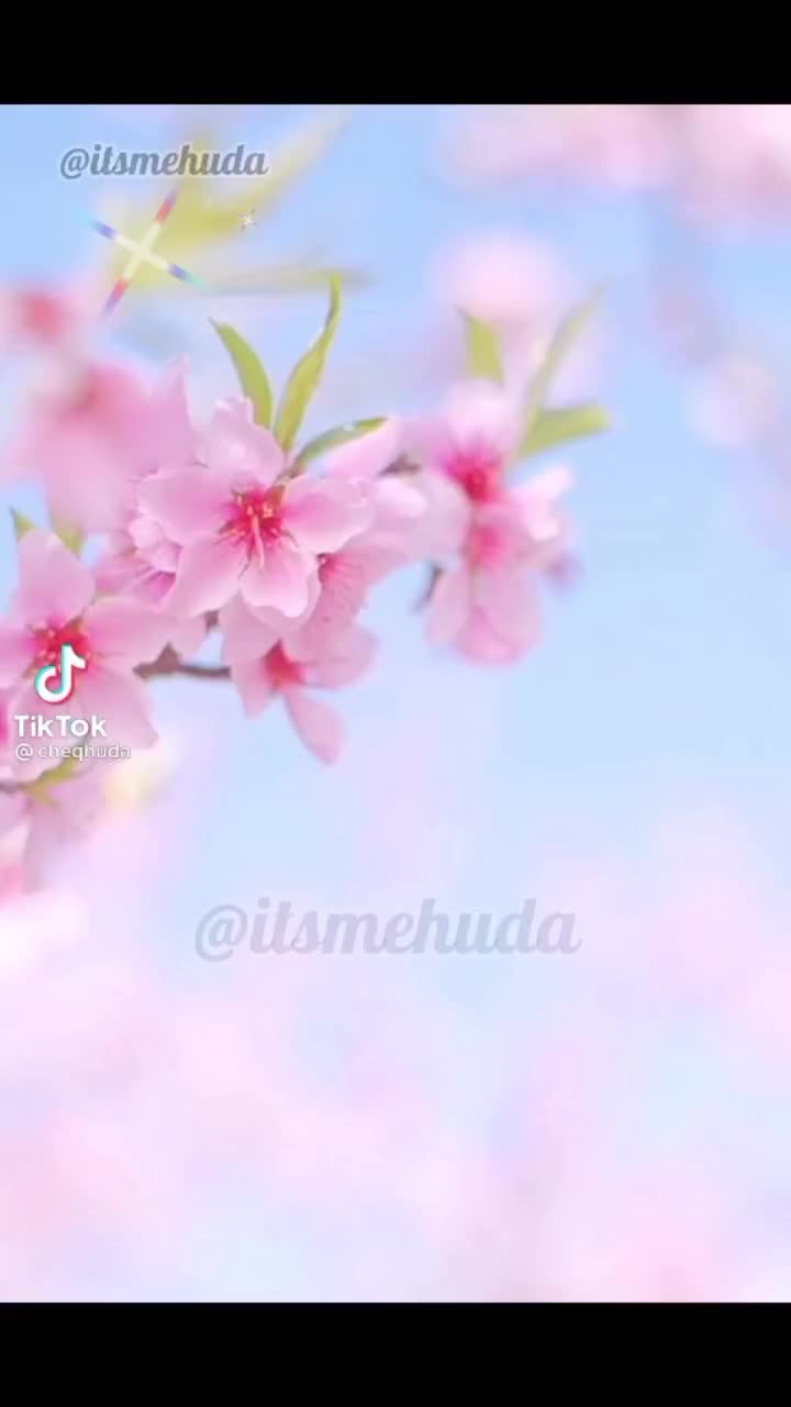 @Ummi_Aufa79