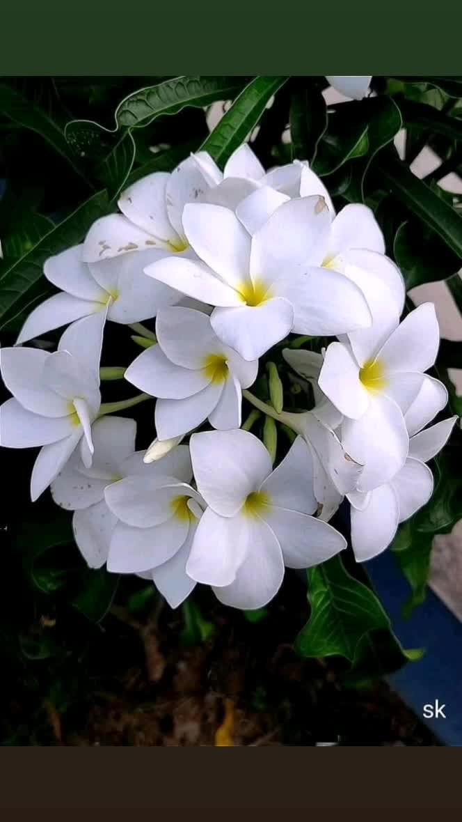 @user54509914243