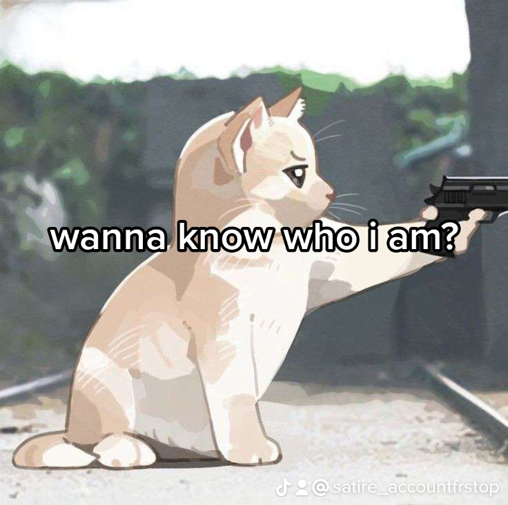 @satire account