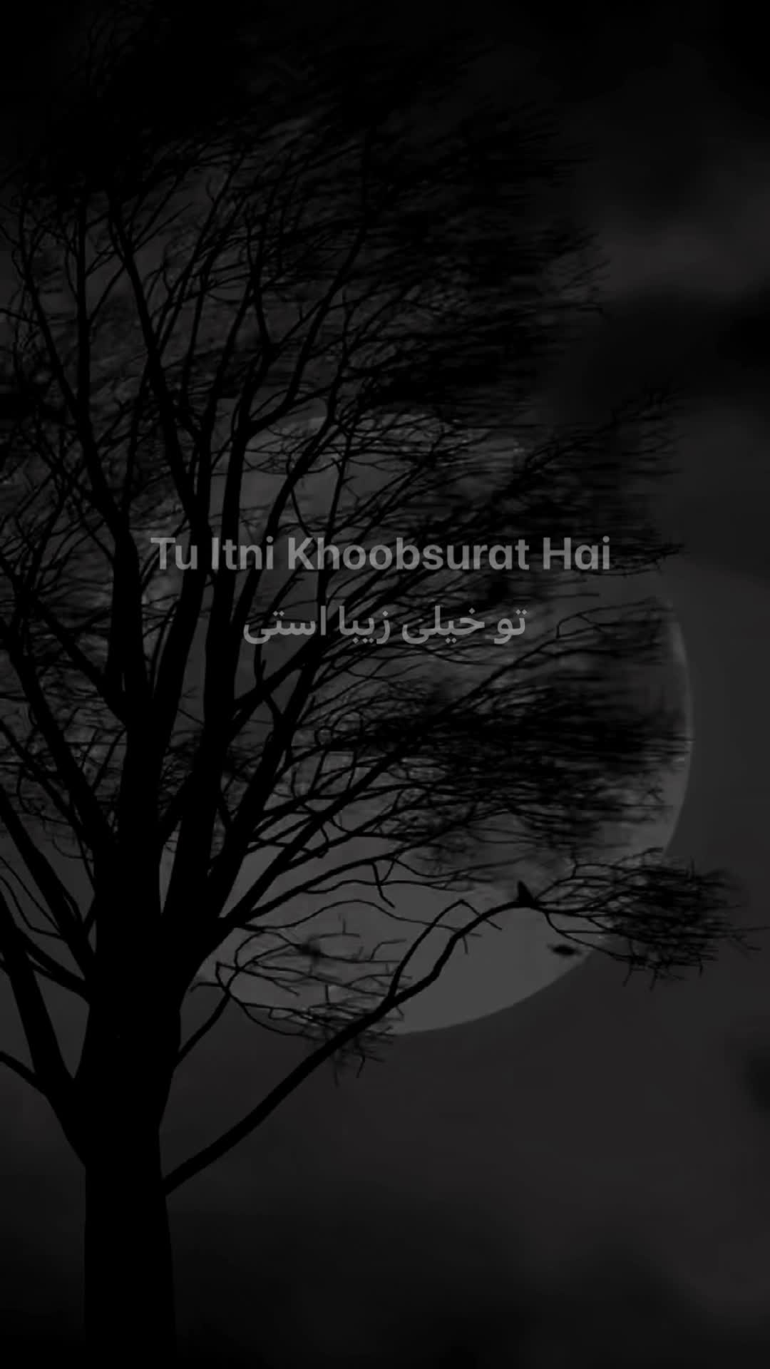 @شـــبــــیـر