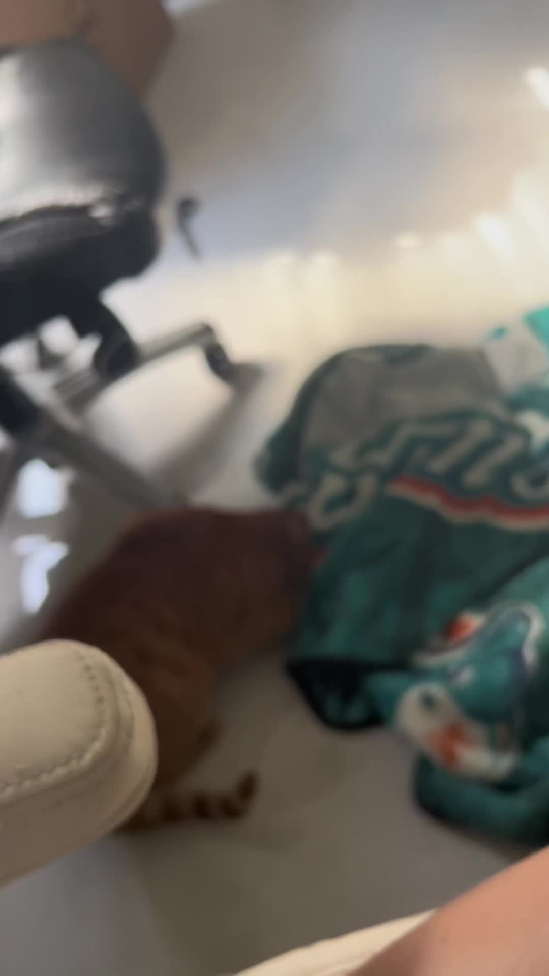 @mango mango