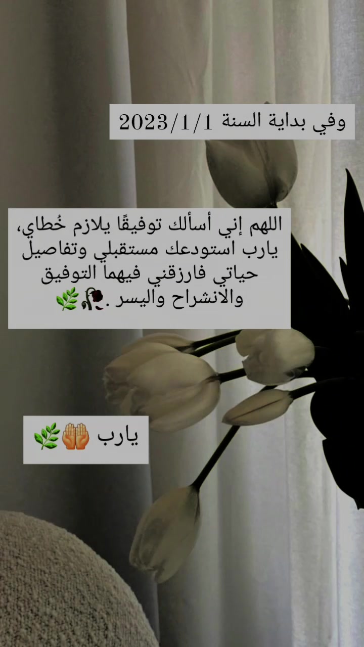 @نجمة 🌟الامل💖2