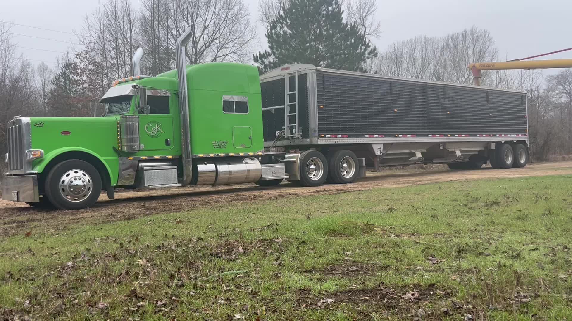 @JD 1979