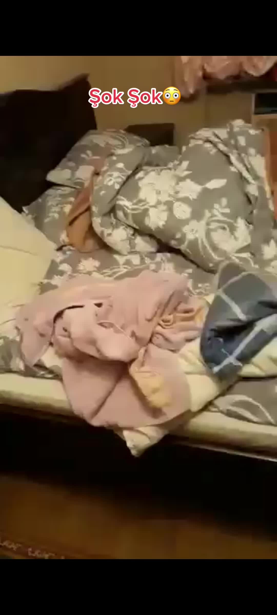 @𝓐𝓵𝓲𝓷𝓪🕊