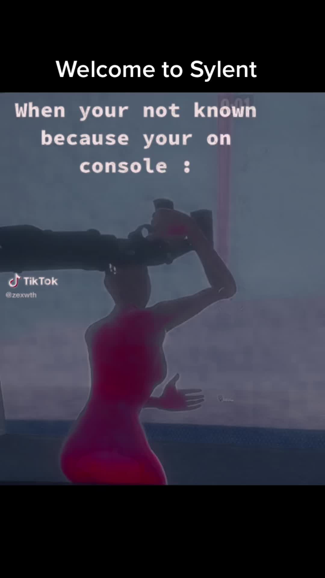 @Team Sylent