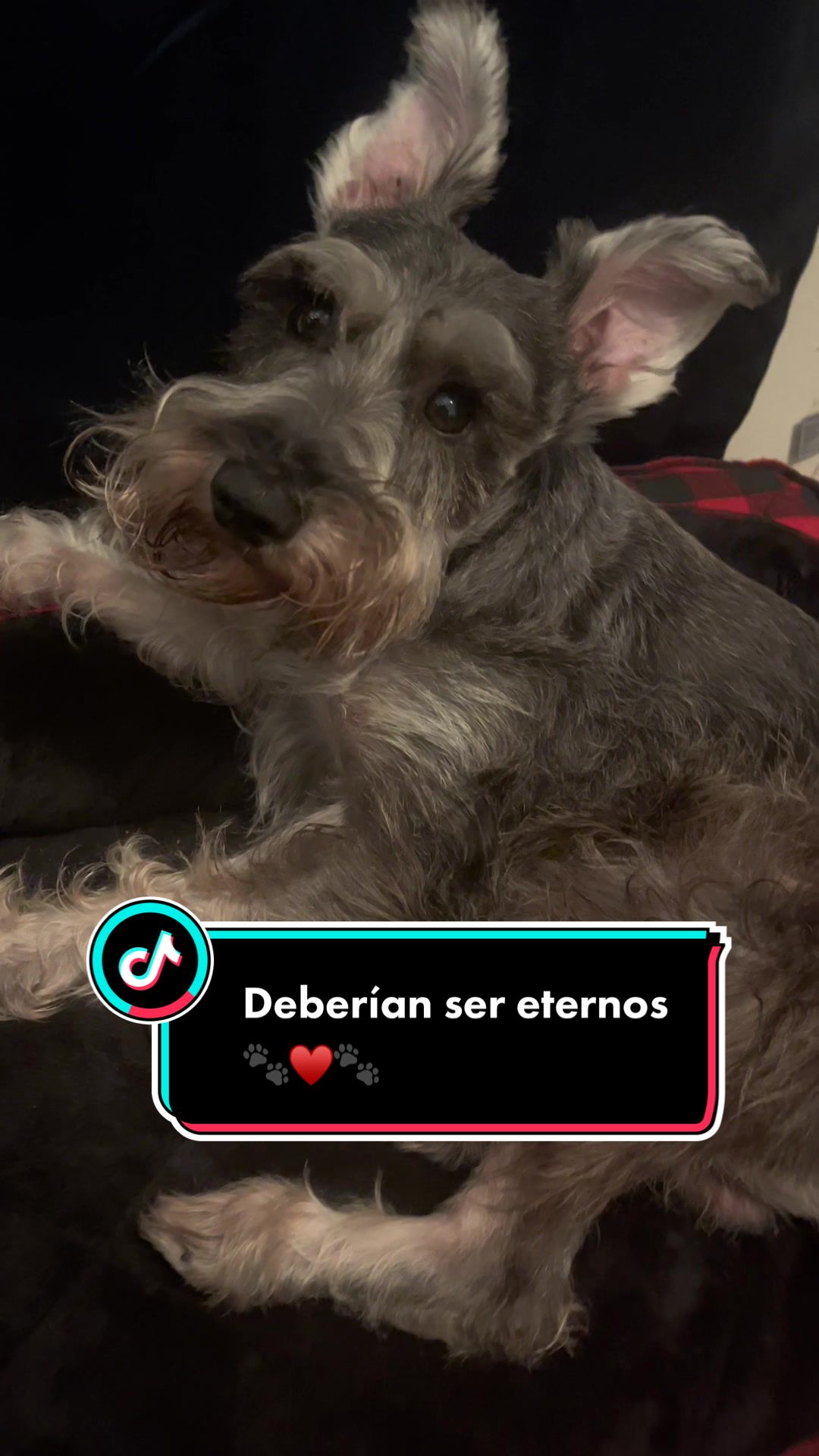 @🐶🐾