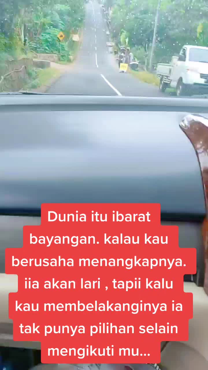 @Mirah Farkhani