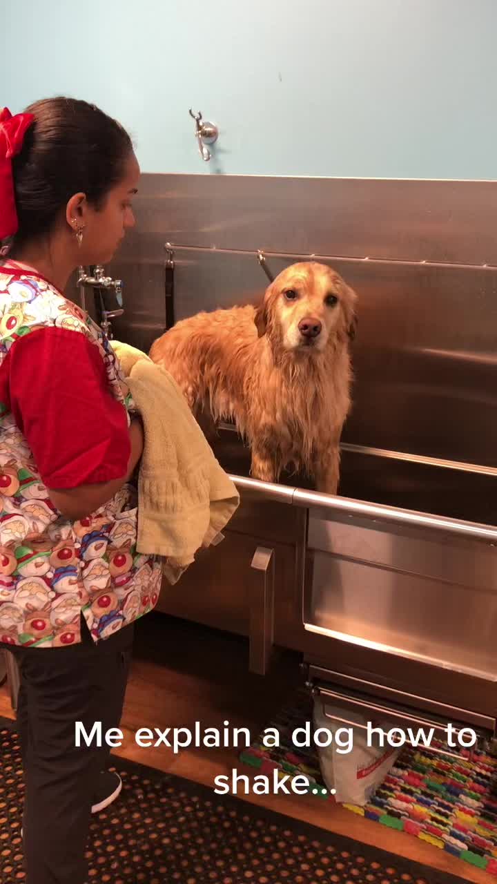 @Sincere Groomer