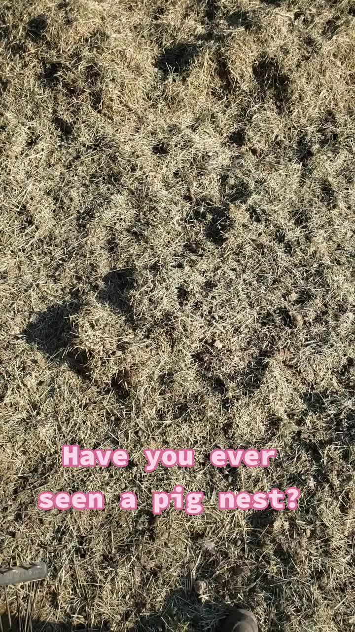 @VioletHorizonsFarm