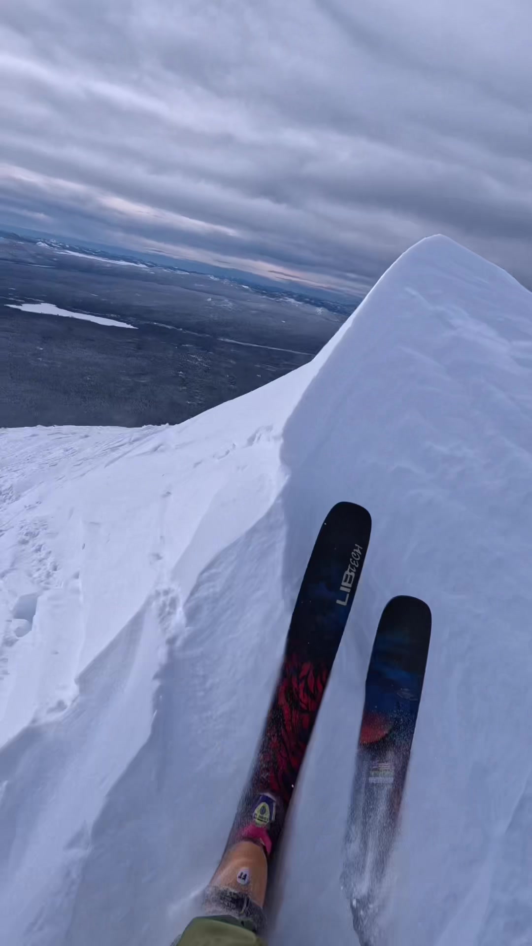 @mt.bachelor