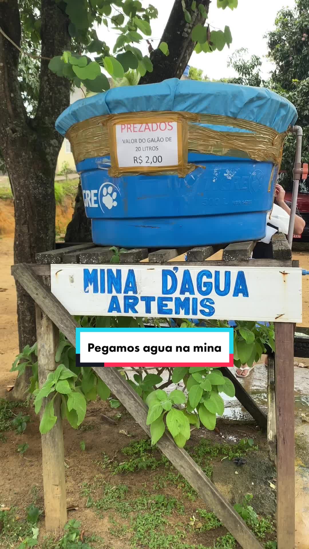 @Crislaine Mendes