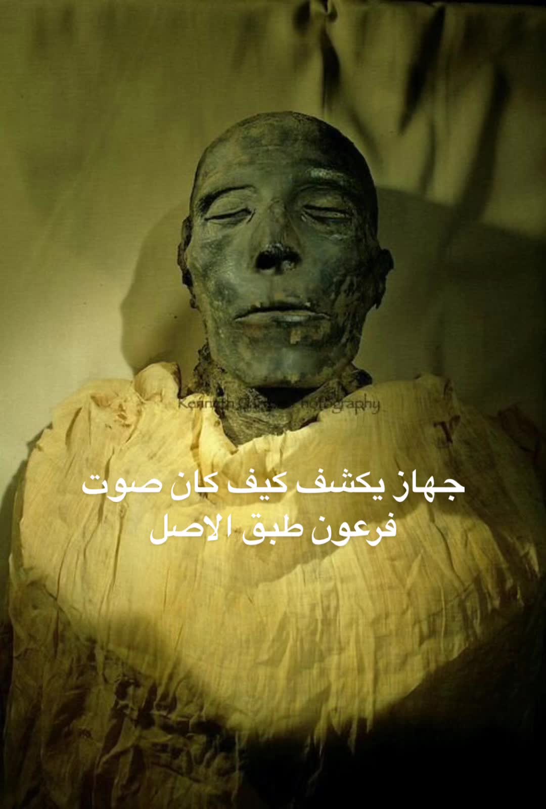 @Hamad Dalmook
