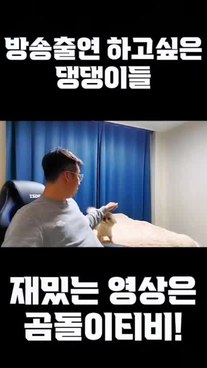 @곰돌이 티비