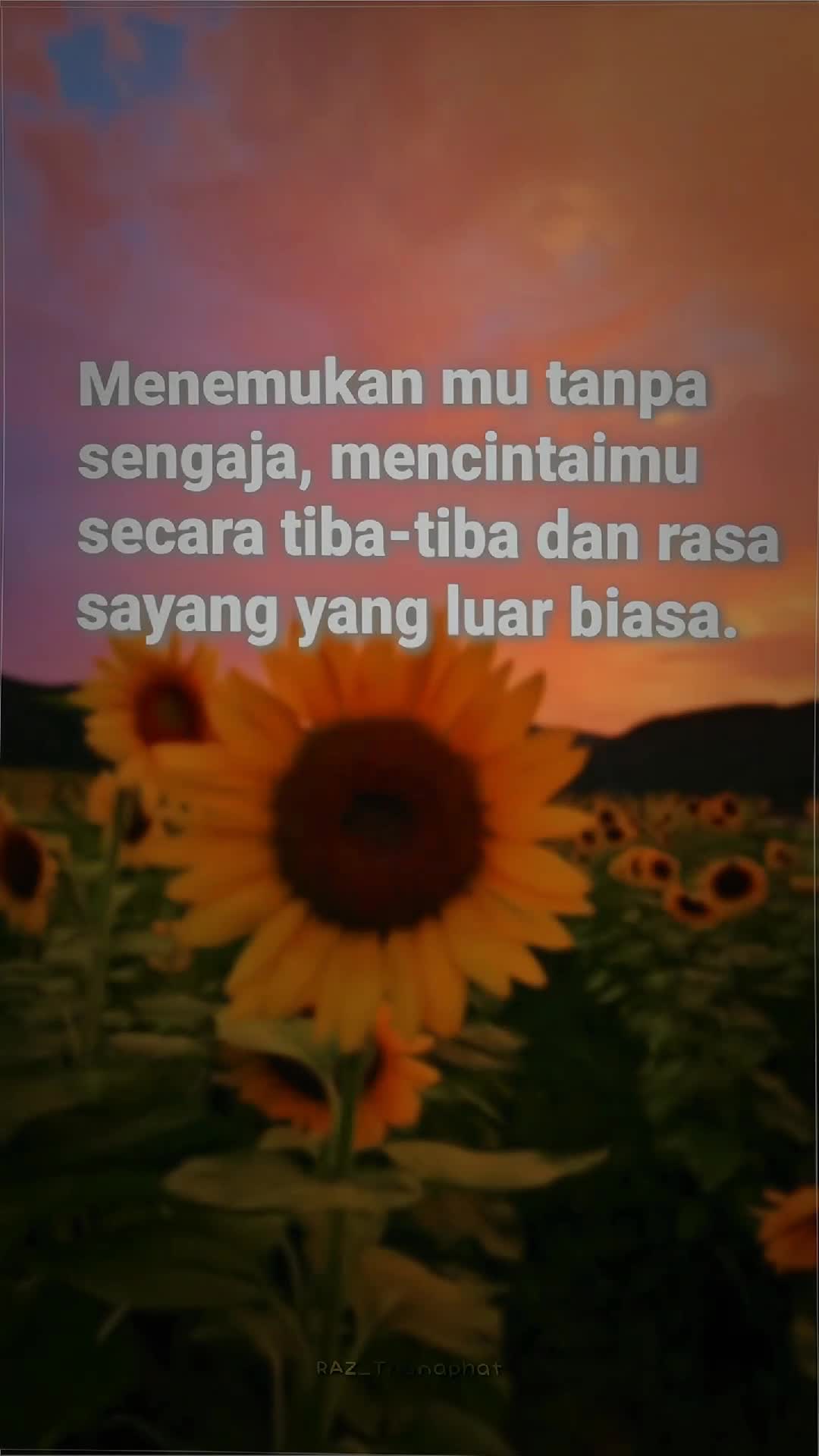 @RAZ || อัลฟ่า✿