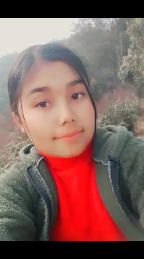 @🕊️