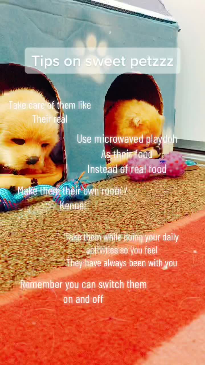 @Sweetpetzzz
