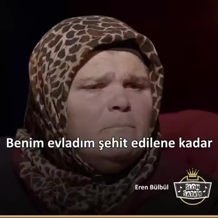 @Mehmet PAYZA