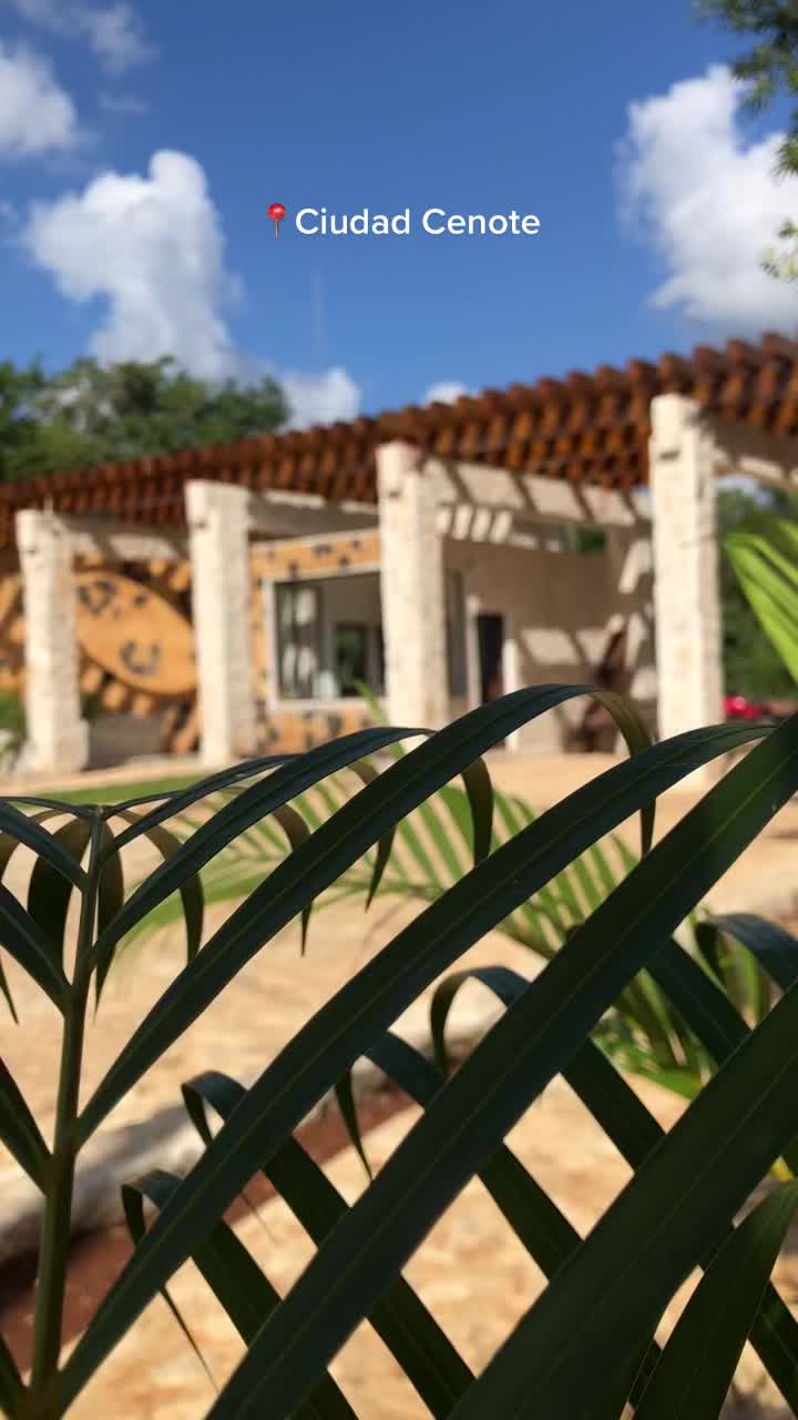 @Ciudad Cenote