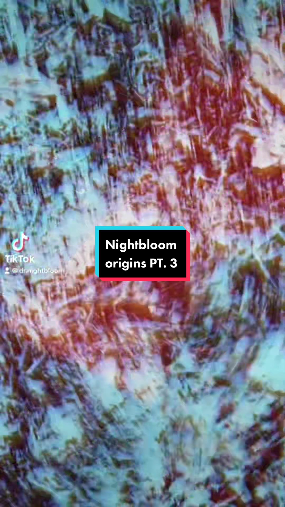 @Dr. Nightbloom