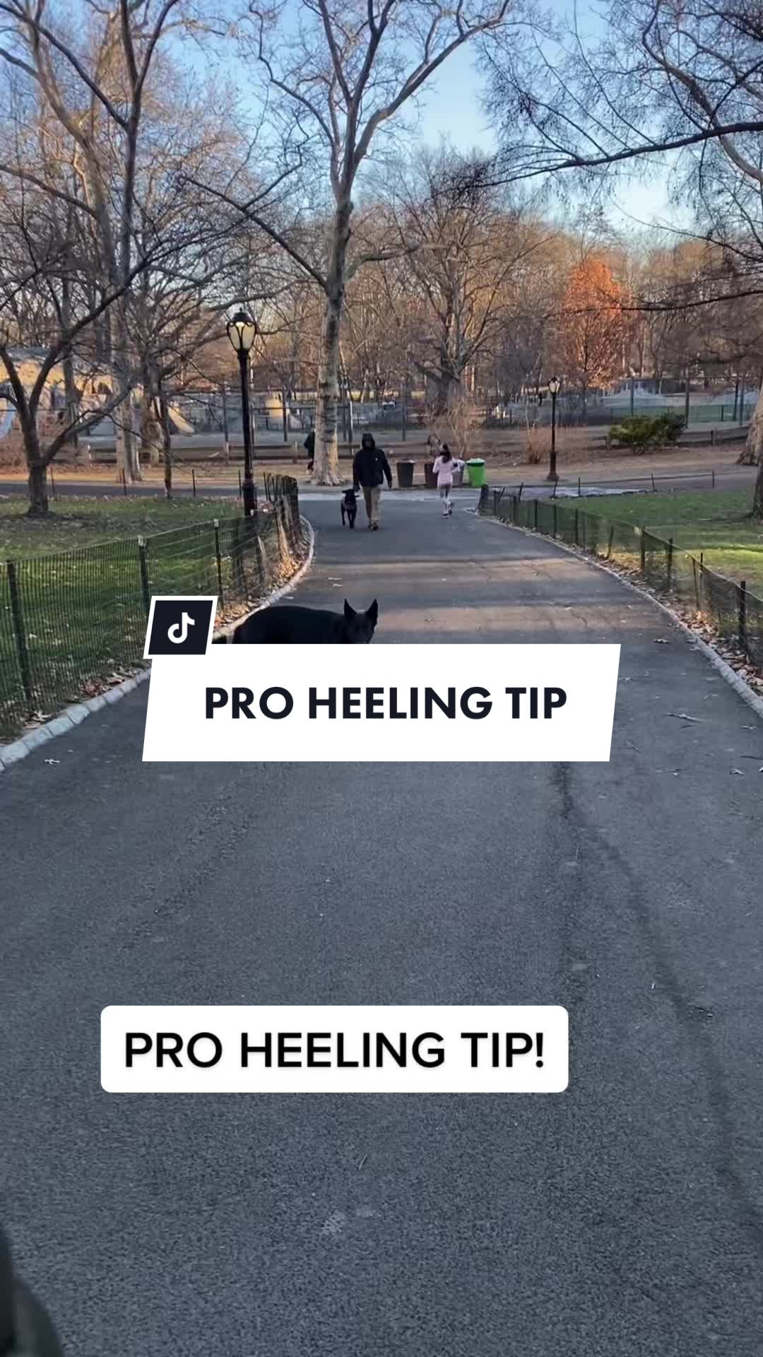 @forthedogs