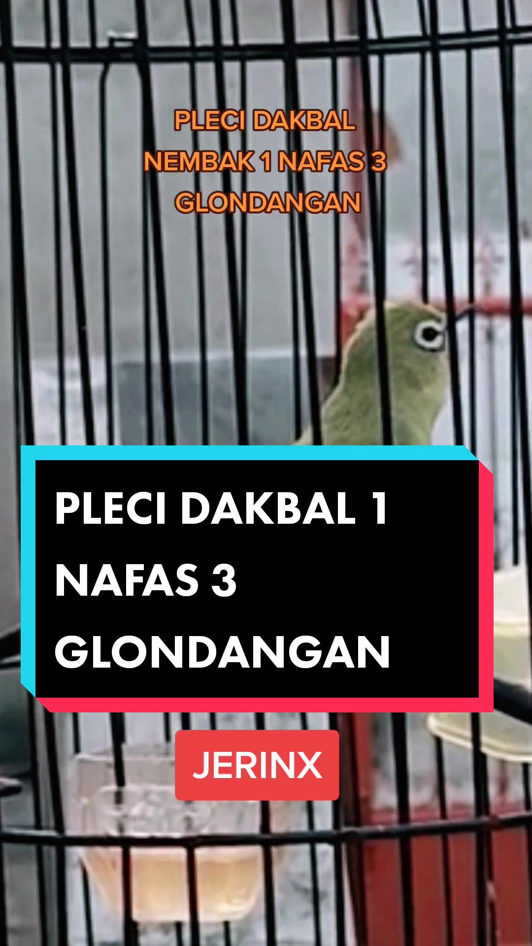 @totalbukpar