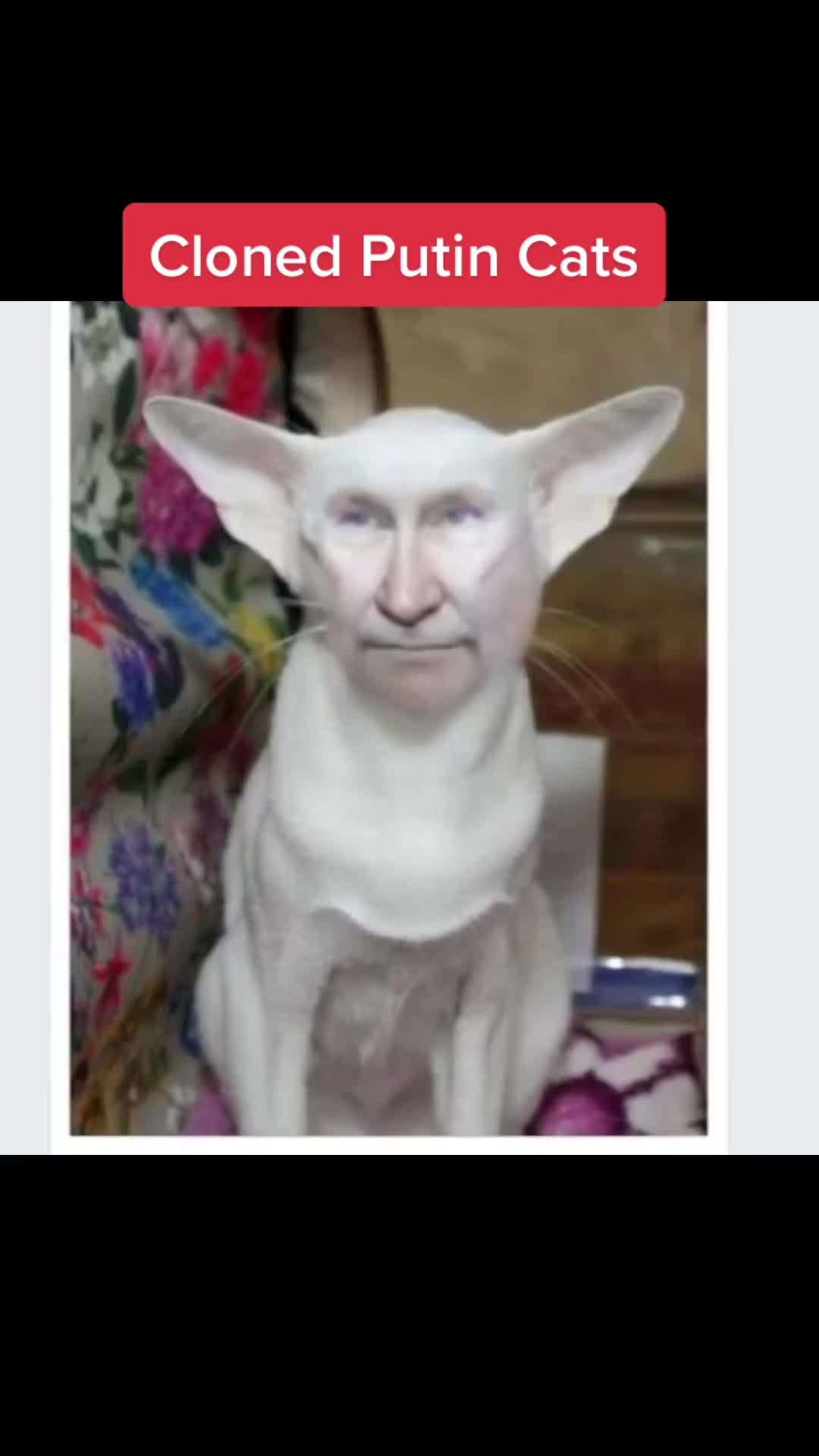 @Diane