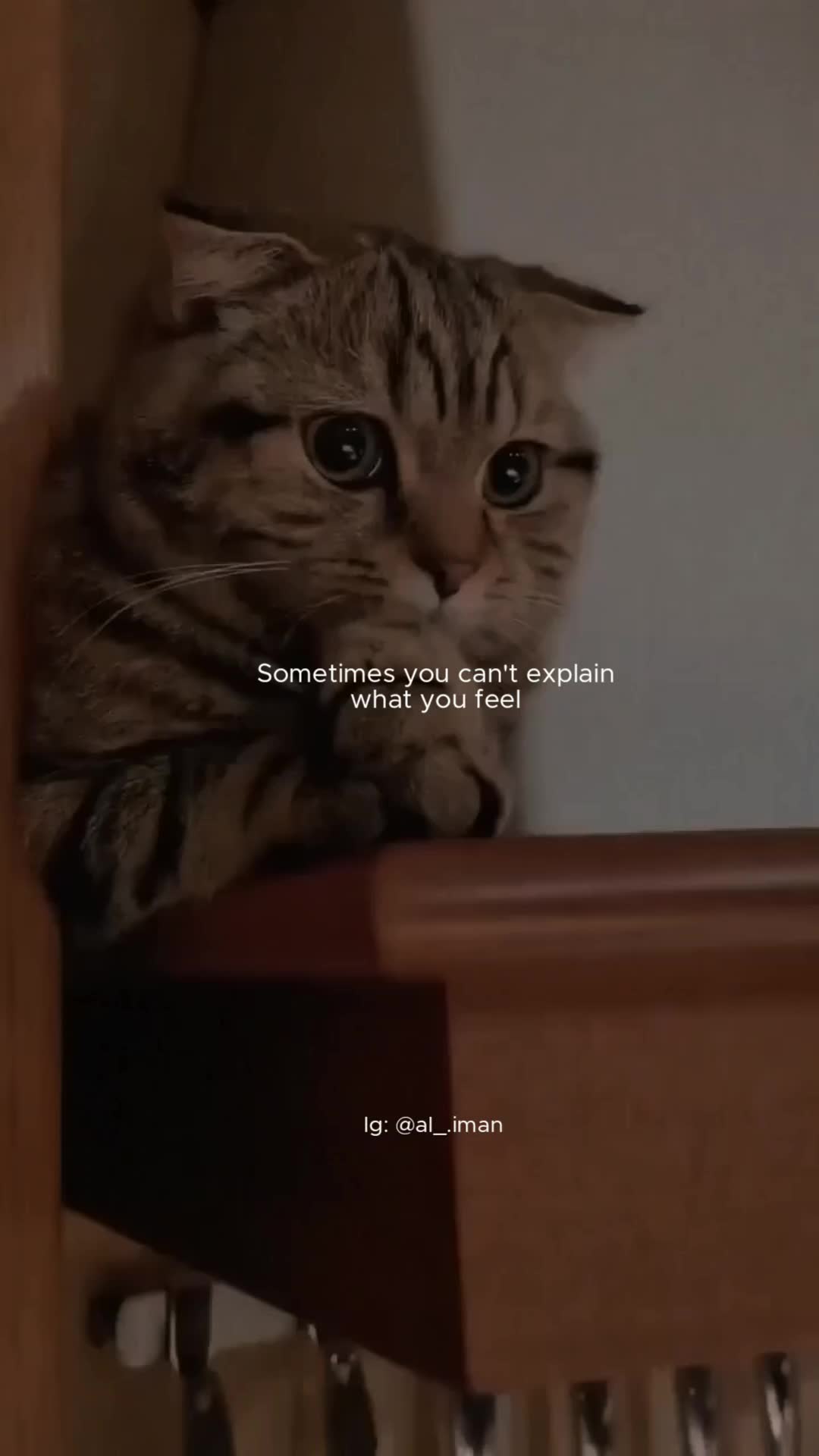 @al_.iman