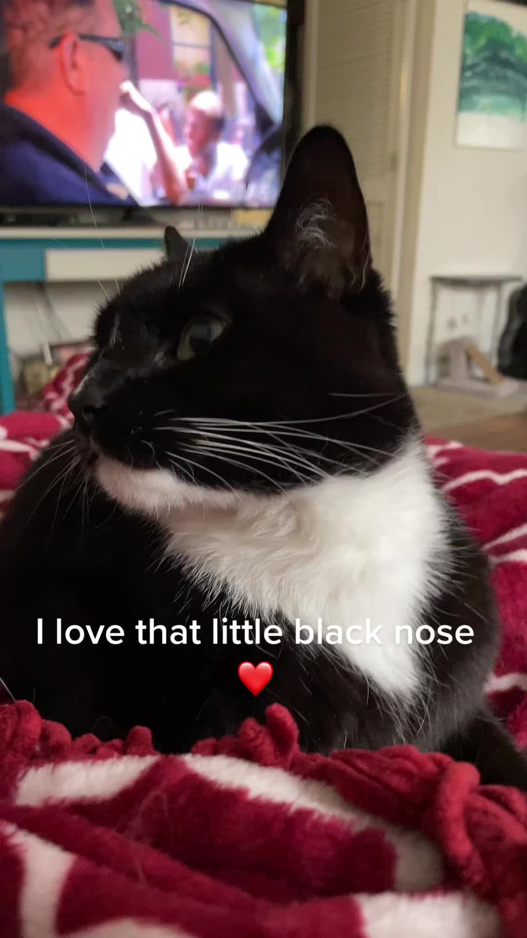 @Pablo & Luigi 🐾