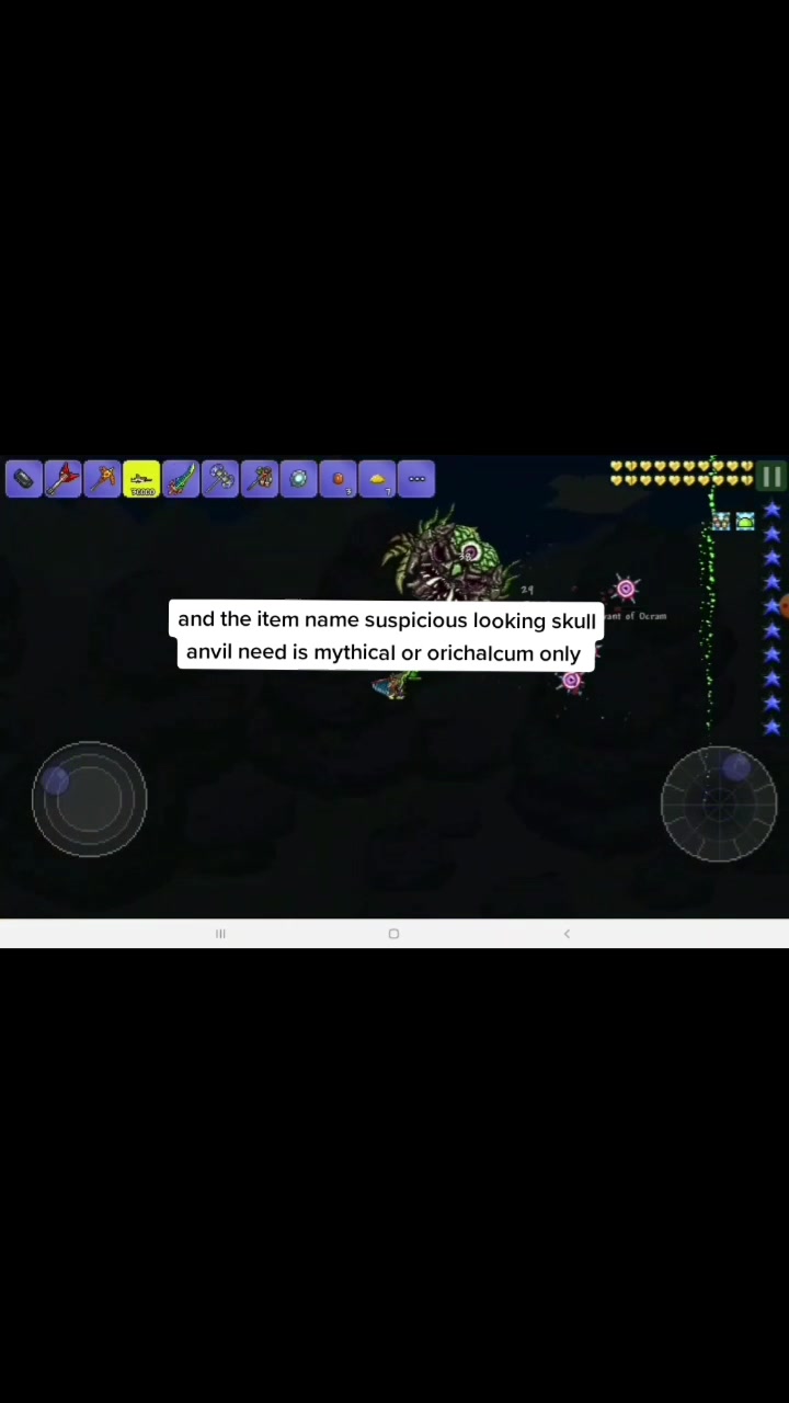 @terraria Mateusz