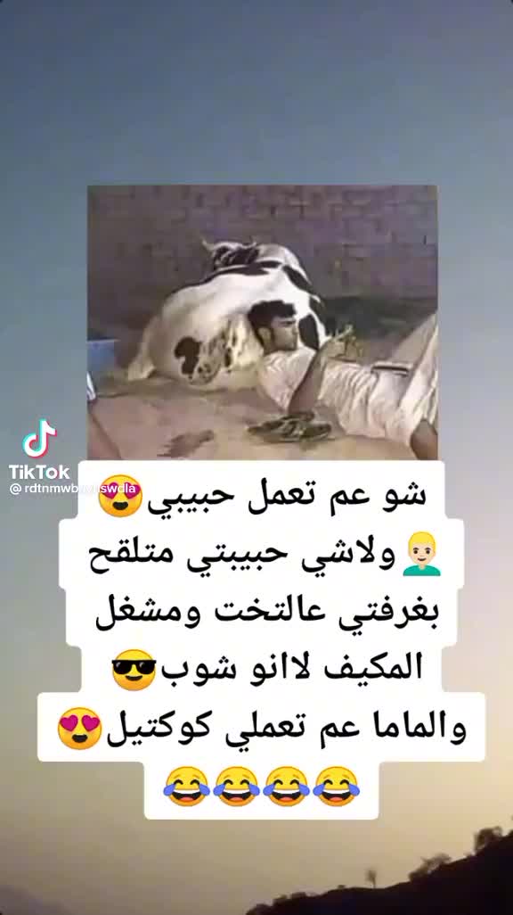 @آلآنبــآري آبــن آلفلوج ـه🇮🇶