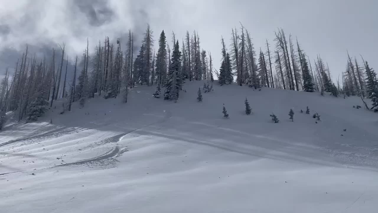 @Wolf Creek Ski Area, Colorado