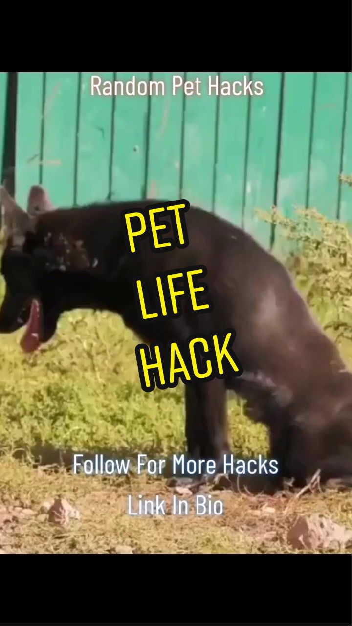 @BeautyTipsTechWizzSa