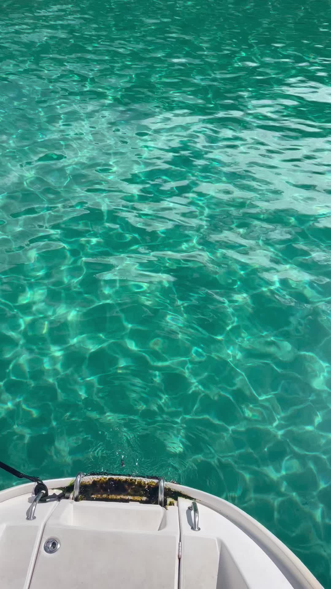 @karbear808