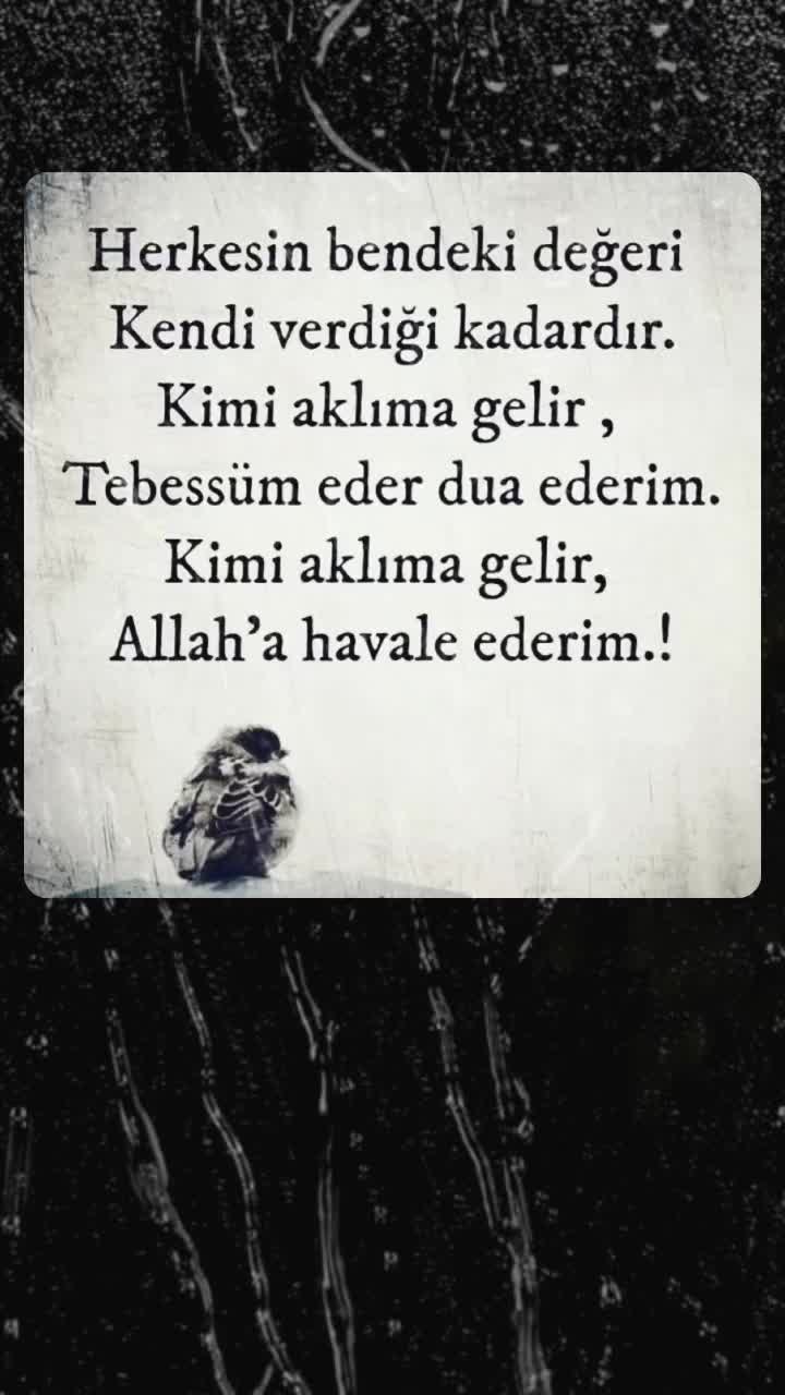 @emir_.3641