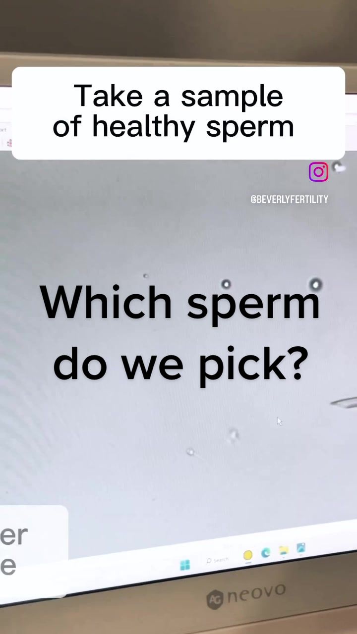 @Beverly Hills Fertility