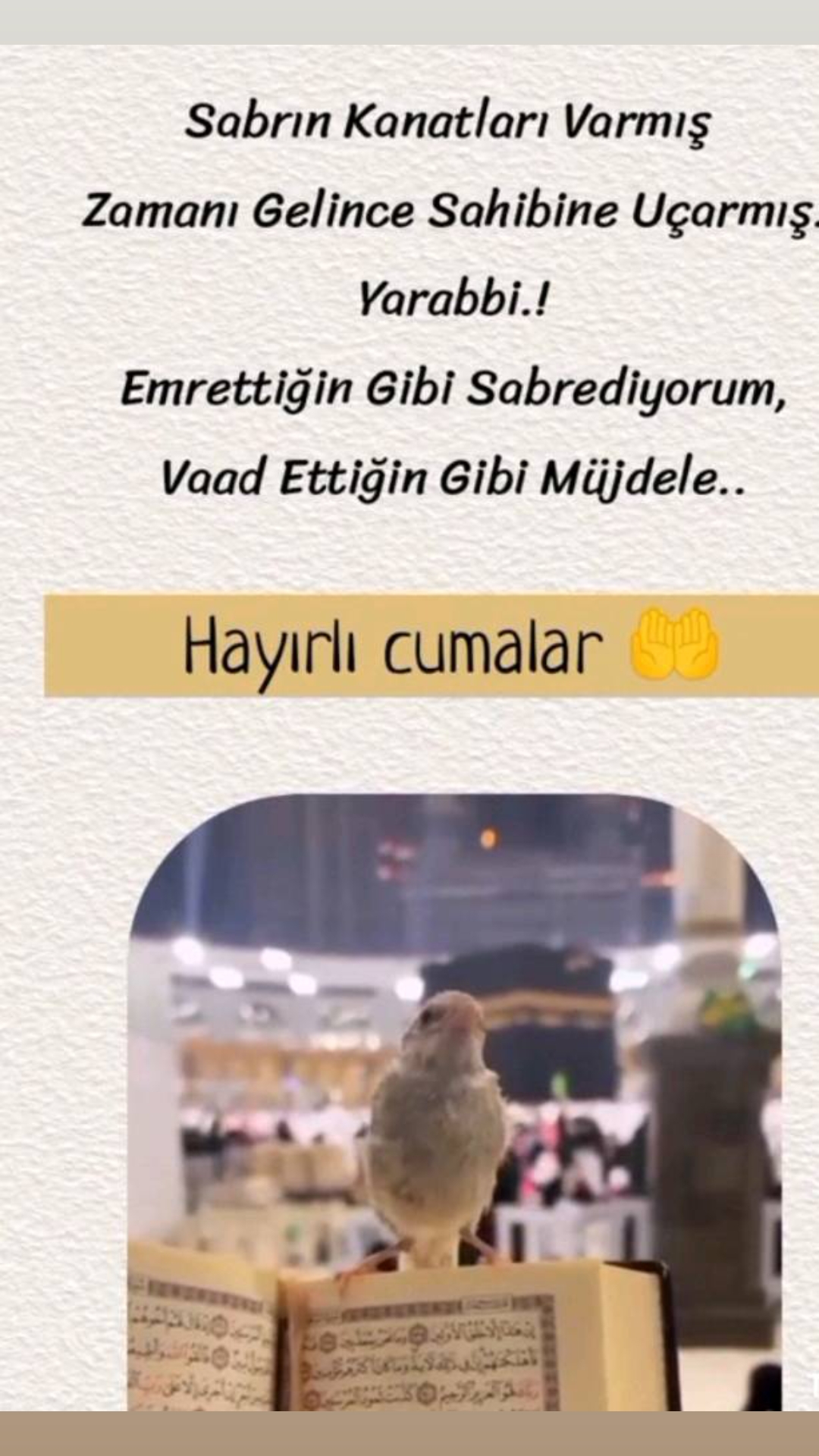 @ademim